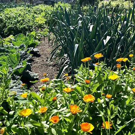 Tenuta Della Prea - La Stalla